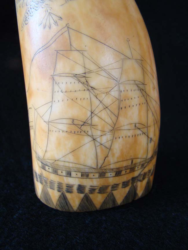 A wonderful American scrimshaw sperm whale's tooth circa 1850 — image 4